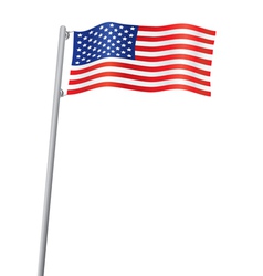 USA flag vector image