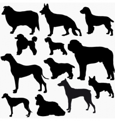 Dogs silhouettes vector image