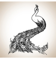 Peacock sketch vector image