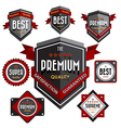 Retro vintage badges set vector image