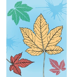 Leaves Leaves vector image