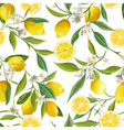 Seamless Pattern Lemon Fruits Background Floral vector image
