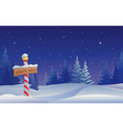 North pole vector image