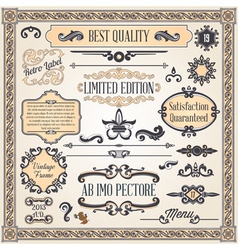 Calligraphic designcs8 vector image