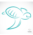 Turtle vector image