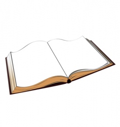 Open book vector image