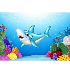 Stylized cartoon angry shark vector image