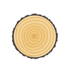 Saw cut tree trunk Saw cut tree trunk vector image