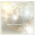 Silver Christmas lights vector image