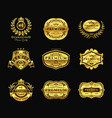 Golden badges stickers premium quality isolated vector image