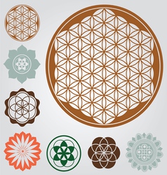 Life seed collection vector image