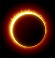 Solar Eclipse vector image