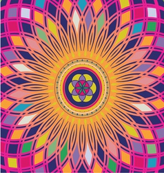 Life seed color luminescence vector image