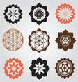 Life seed elements collection vector image