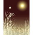 Butterfly grass vector image