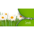 Nature background vector image