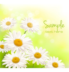 Beautiful daisies background vector image