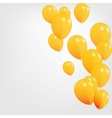 Colored balloons vector image
