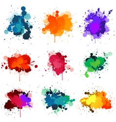 Paint splatter vector image