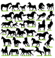 Horses Silhouettes Set vector image