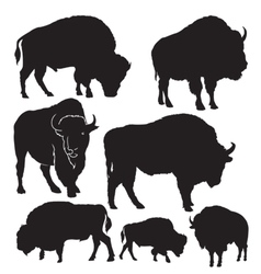 Silhouettes buffalo vector image