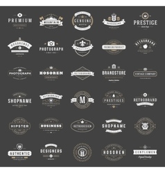 Retro Vintage Logotypes or insignias set vector image
