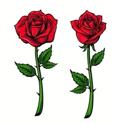 Red rose cartoon vector image