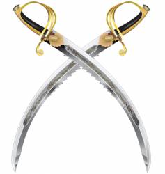 Two crossbones pirate swords vector image