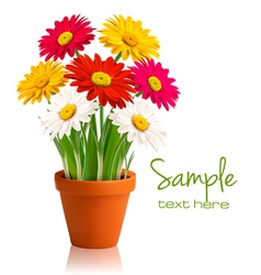 Fresh spring flowers vector image