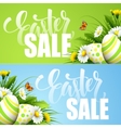 Easter sale background with eggs and spring flower Easter sale background with eggs and spring flower vector image