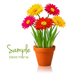 Fresh spring flowers vector image