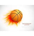 Ball with flame vector image