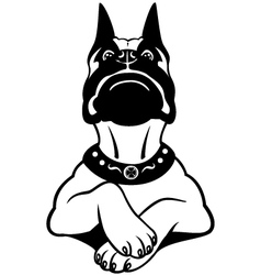 Cartoon boxer black white vector image