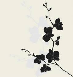 Stylized orchid branch vector image