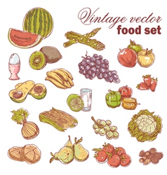 Vintage hand-drawn food set vector image