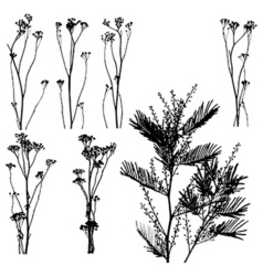 Nature elements vector image