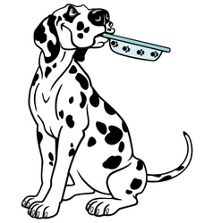 Cartoon dalmatian vector image