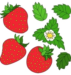 Three strawberries detailed icon Royalty Free Vector Image