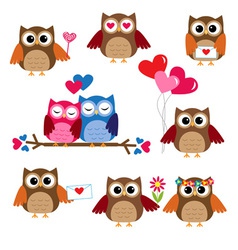 Cute owls vector image