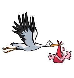 Flying stork with baby vector image