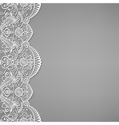 Lace and floral ornaments vector image