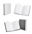 Blank books vector image