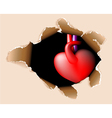 Hole in my body vector image