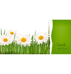 Nature background vector image