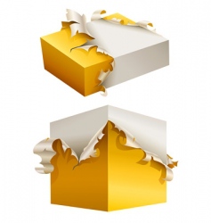 Gift Box vector image