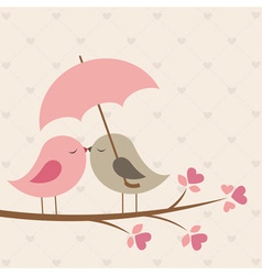Birds under umbrella vector image