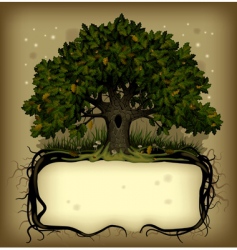 Oak tree with a banner vector image