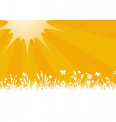 Summer background vector image