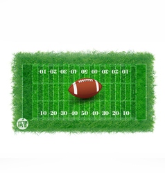 American football field with real grass textured American football field with real grass textured vector image