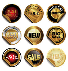 Collection of Premium Quality and Guarantee Labels vector image